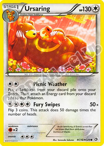 RC16/RC25 Ursaring radiant foil (EN) -NEAR MINT-