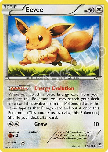 080 / 113 Eevee comune normale (EN) -NEAR MINT-