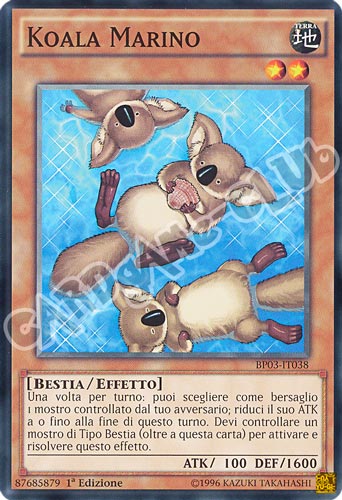 BP03-IT038 Koala Marino comune 1a edizione (IT) -NEAR MINT-