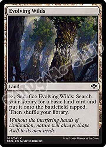 32 / 81 Evolving Wilds comune (EN) -NEAR MINT-