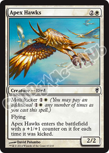 067 / 210 Apex Hawks comune (EN) -NEAR MINT-