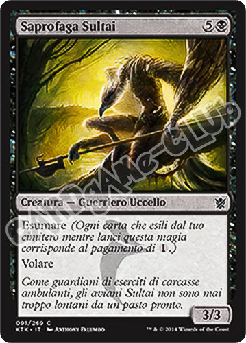 091 / 269 Saprofaga Sultai comune (IT) -NEAR MINT-