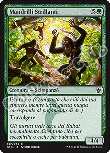 137 / 269 Mandrilli Strillanti comune (IT) -NEAR MINT-