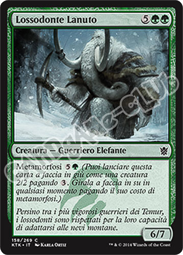 158 / 269 Lossodonte Lanuto comune (IT) -NEAR MINT-