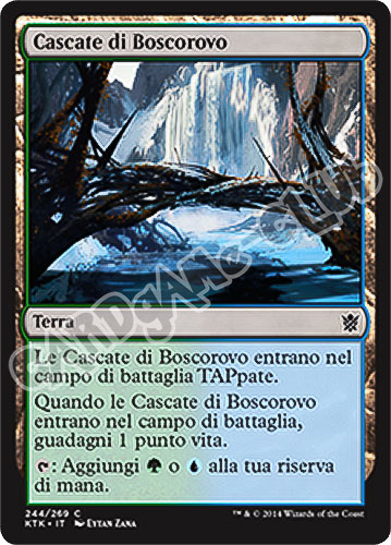 244 / 269 Cascate di Boscorovo comune (IT) -NEAR MINT-