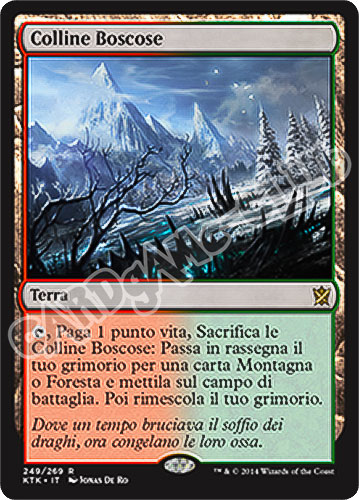 249 / 269 Colline Boscose rara (IT) -NEAR MINT-