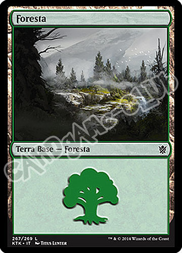 267 / 269 Foresta comune (IT) -NEAR MINT-