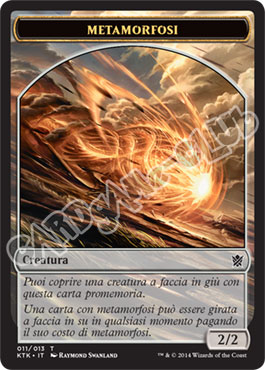 11 / 13 Metamorfosi comune (IT)