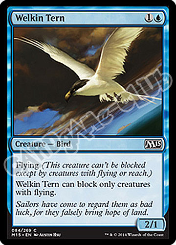084 / 269 Welkin Tern comune (EN) -NEAR MINT-