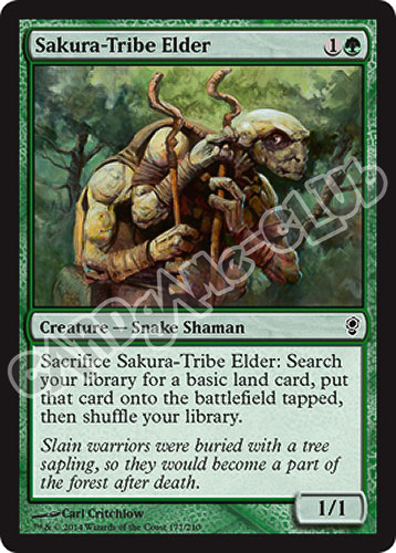 177 / 210 Sakura-Tribe Elder comune (EN) -NEAR MINT-