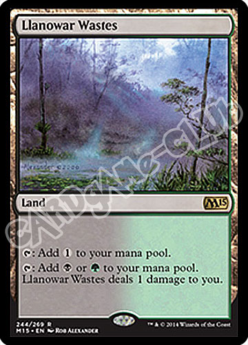 244 / 269 Llanowar Wastes rara (EN) -NEAR MINT-