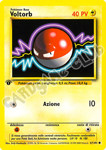 067 / 102 Voltorb comune 1a edizione (IT) -NEAR MINT-