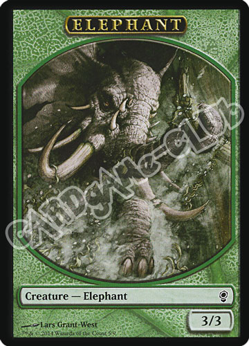 5 / 8 Elephant comune (EN)