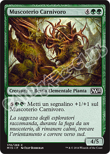 170 / 269 Muscoterio Carnivoro comune (IT) -NEAR MINT-