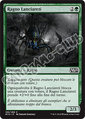 186 / 269 Ragno Lanciareti comune (IT) -NEAR MINT-