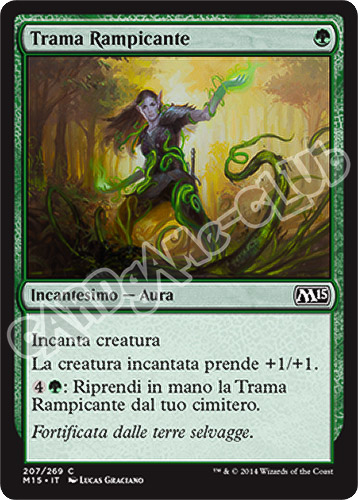 207 / 269 Trama Rampicante comune (IT) -NEAR MINT-