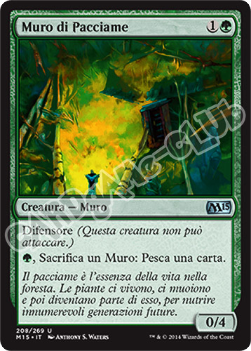 208 / 269 Muro di Pacciame non comune (IT) -NEAR MINT-