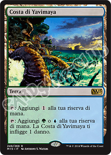 249 / 269 Costa di Yavimaya rara (IT) -NEAR MINT-