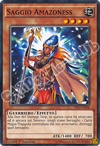 YS14-ITA06 Saggio Amazoness comune 1a Edizione (IT) -NEAR MINT-