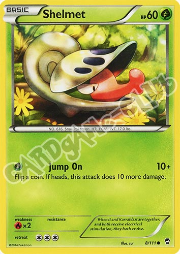 008 / 113 Shelmet comune normale (EN) -NEAR MINT-