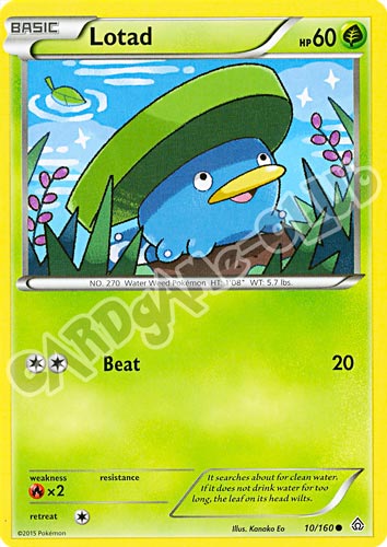 010 / 164 Lotad comune normale (EN) -NEAR MINT-