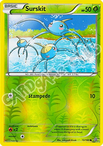 013 / 164 Surskit comune foil reverse (EN) -NEAR MINT-