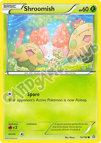 015 / 164 Shroomish comune normale (EN) -NEAR MINT-