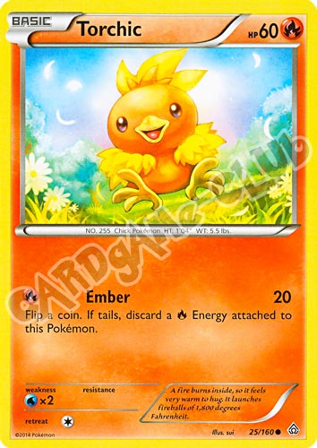 025 / 164 Torchic comune normale (EN) -NEAR MINT-