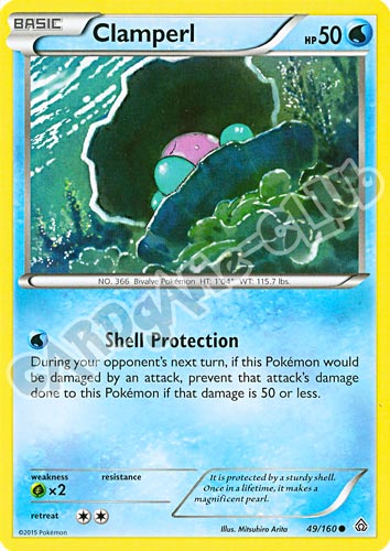 049 / 164 Clamperl comune normale (EN) -NEAR MINT-