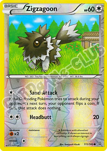 111 / 164 Zigzagoon comune foil reverse (EN) -NEAR MINT-