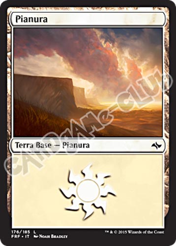 176 / 185 Pianura comune foil (IT)