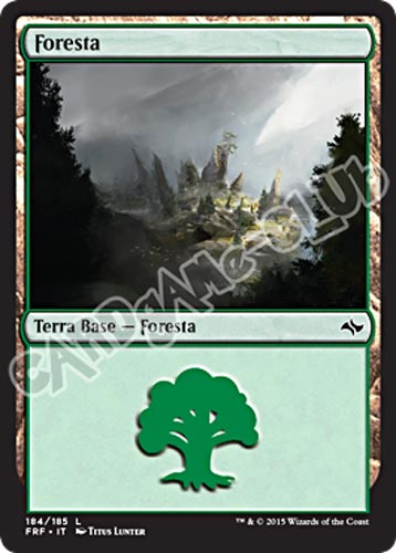 184 / 185 Foresta comune foil (IT)