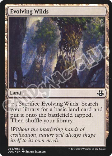 58 / 67 Evolving Wilds comune (EN) -NEAR MINT-