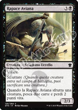 Draghi di Tarkir 126 / 264 Rapace Aviana comune (IT) -NEAR MINT-