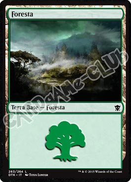 Draghi di Tarkir 263 / 264 Foresta comune (IT) -NEAR MINT-