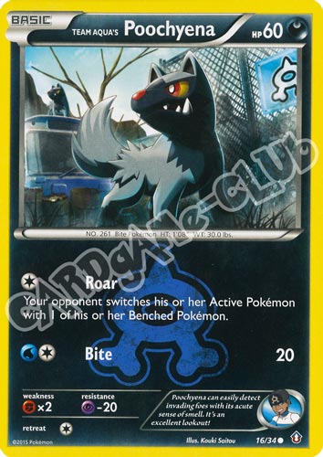 016 / 34 Poochyena comune normale (EN) -NEAR MINT-