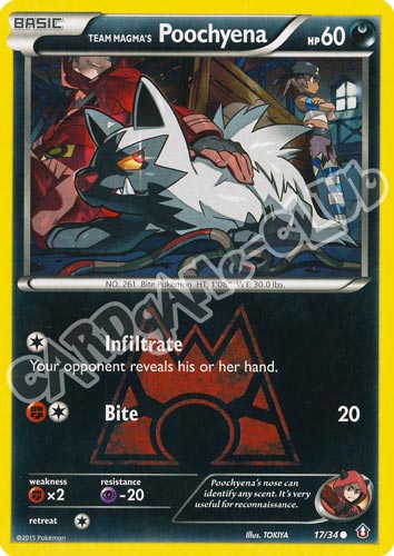 017 / 34 Poochyena comune normale (EN) -NEAR MINT-