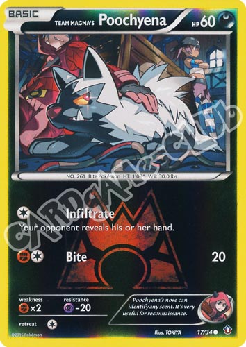 017 / 34 Poochyena comune foil reverse (EN) -NEAR MINT-
