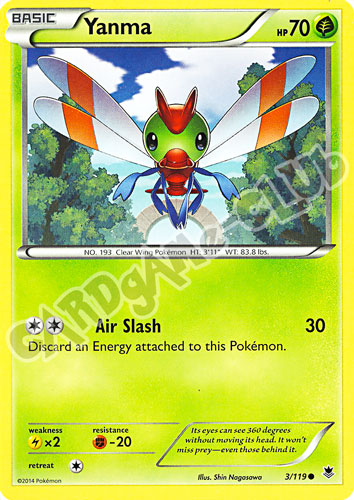 003 / 119 Yanma comune normale (EN)