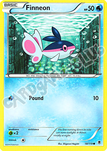 018 / 119 Finneon comune normale (EN)