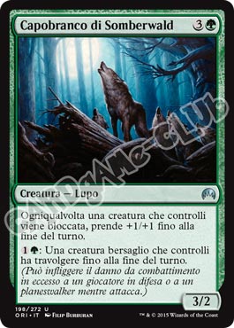 198 / 272 Capobranco di Somberwald non comune (IT) -NEAR MINT-