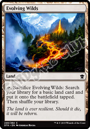 248 / 264 Evolving Wilds comune (EN) -NEAR MINT-