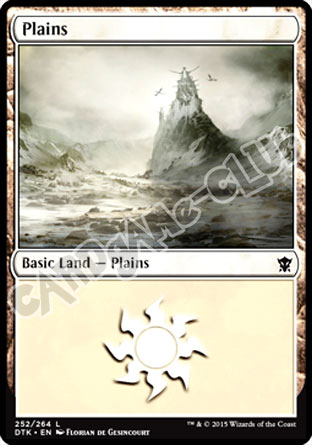 252 / 264 Plains comune (EN) -NEAR MINT-