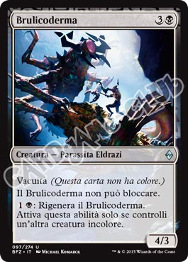 097 / 274 Brulicoderma non comune (IT) -NEAR MINT-