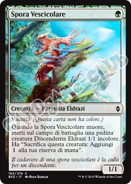 163 / 274 Spora Vescicolare comune (IT) -NEAR MINT-