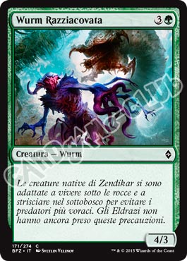 171 / 274 Wurm Razziacovata comune (IT) -NEAR MINT-