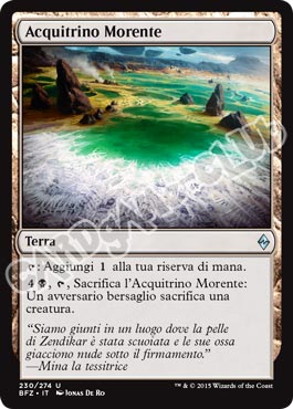 230 / 274 Acquitrino Morente non comune (IT) -NEAR MINT-
