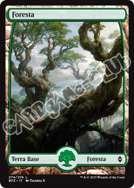 274 / 274 Foresta comune (IT) -NEAR MINT-