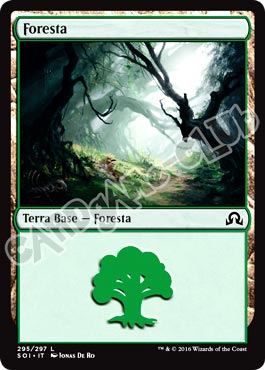 295 / 297 Foresta comune normale (IT) -NEAR MINT-