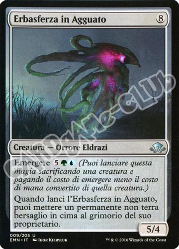 009 / 205 Erbasferza in Agguato non comune normale (IT) -NEAR MINT-